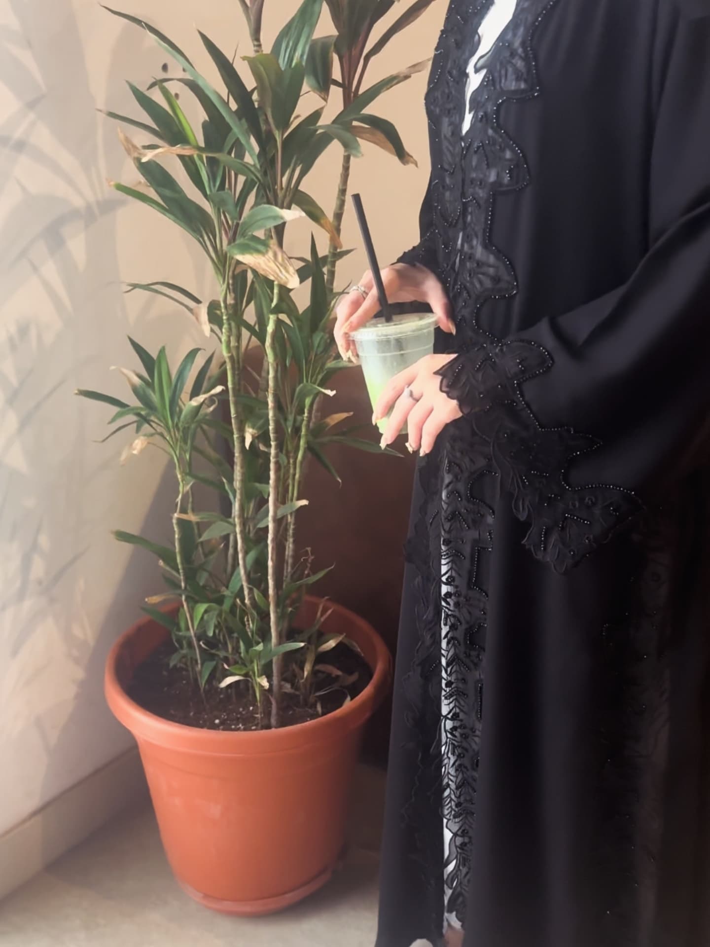 Abaya that Define Sophistication